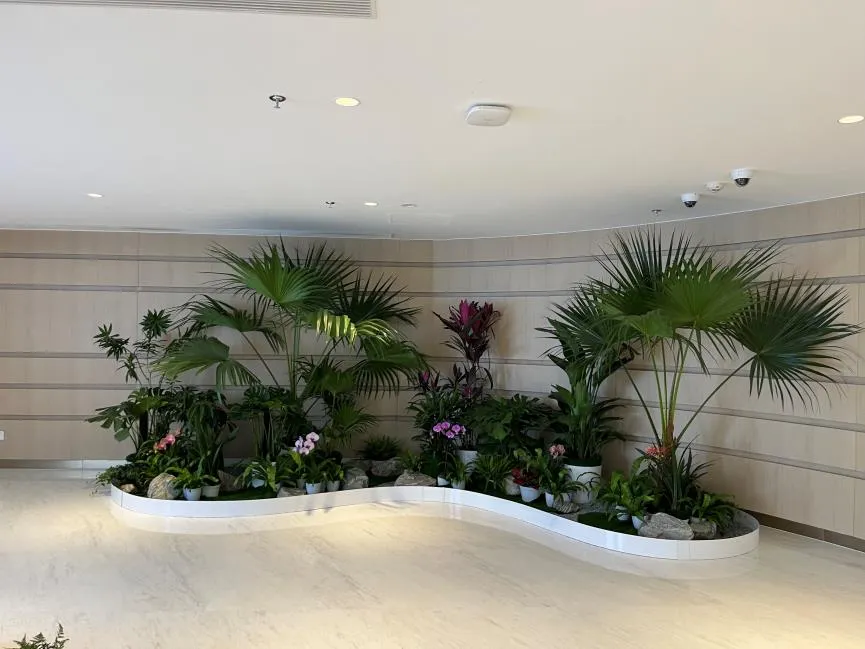 专业鄞州花卉出租设计，点亮您的空间之美！